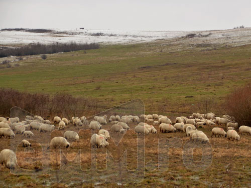 Foto: Oi Maramures